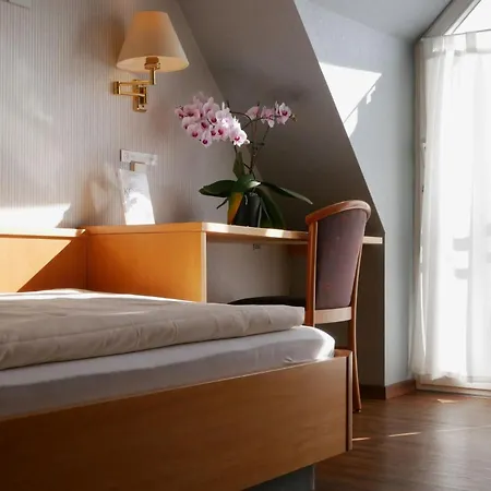 Hotel Hotel-restaurant Lamm *