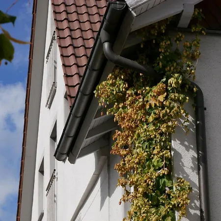 Hotel Hotel-restaurant Lamm Rietheim-Weilheim