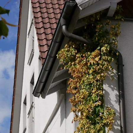 Hotel Hotel-restaurant Lamm Rietheim-Weilheim