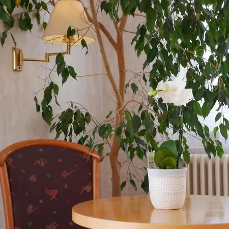 Hotel-restaurant Lamm Hotel *