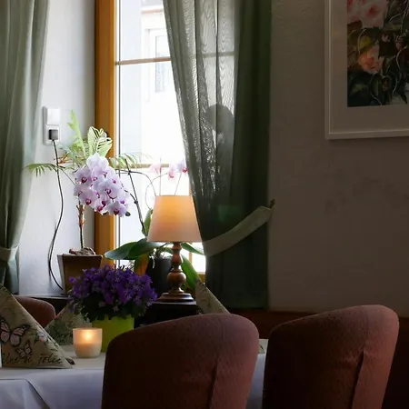 Hotel-restaurant Lamm Hotel *