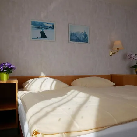 Hotel-restaurant Lamm Hotel Rietheim-Weilheim